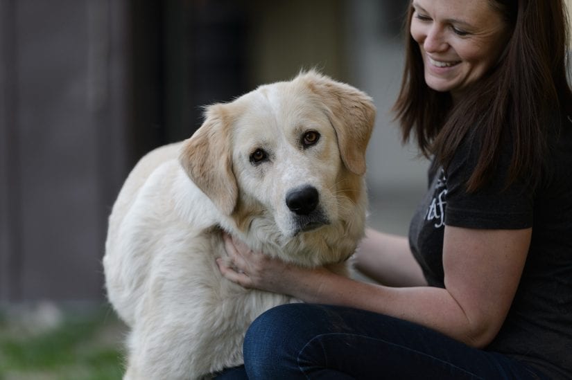 Eye contact shot of a dog outdoors giving sad curious puppy dog eyes while being held and pet by a woman