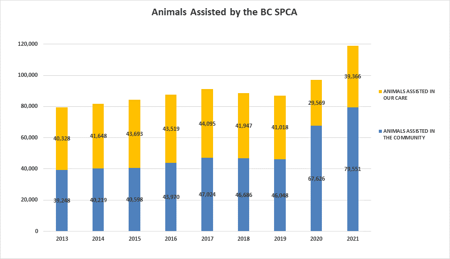 Programs & Services - BC SPCA Programs & Services - BC SPCA