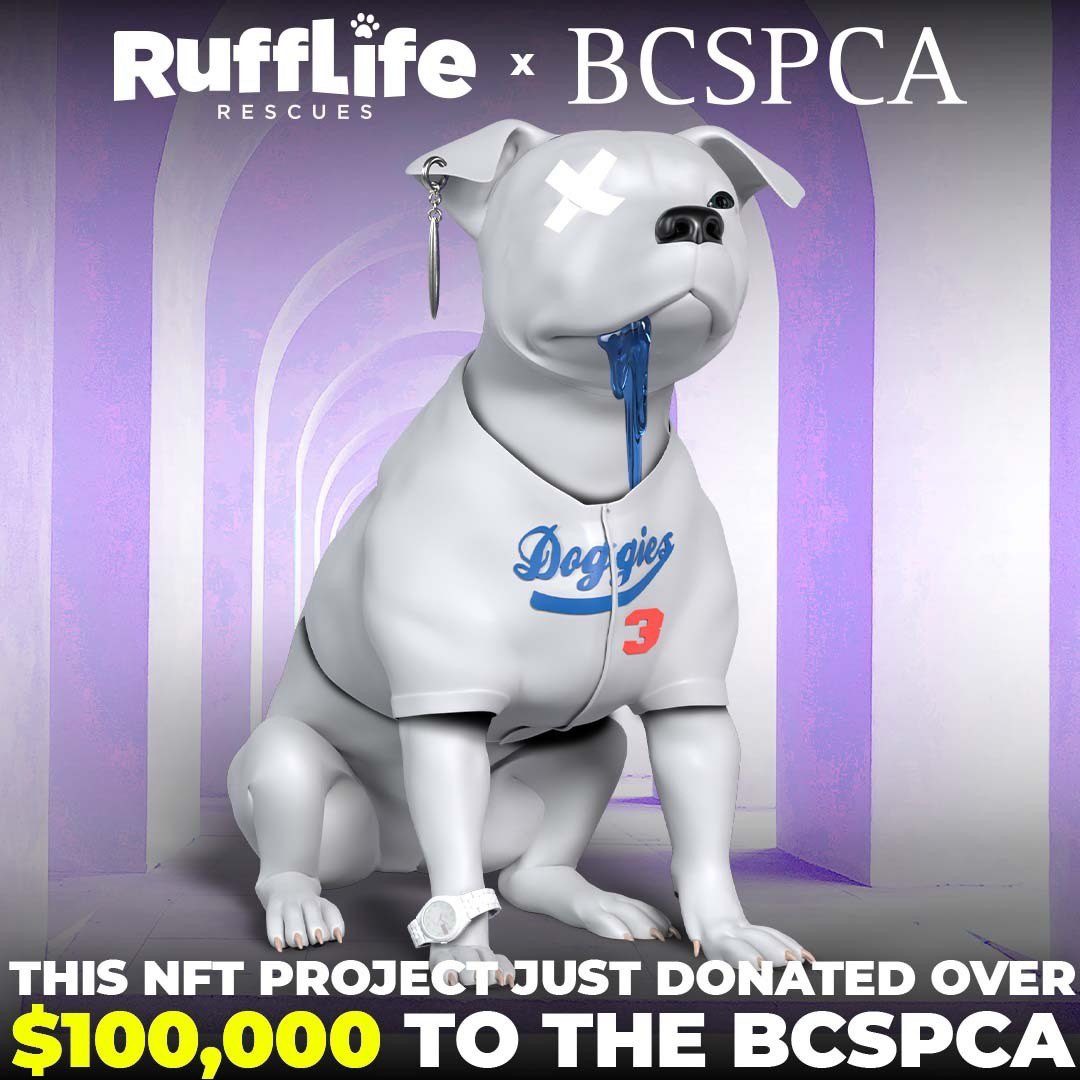 RuffLife $100k donation