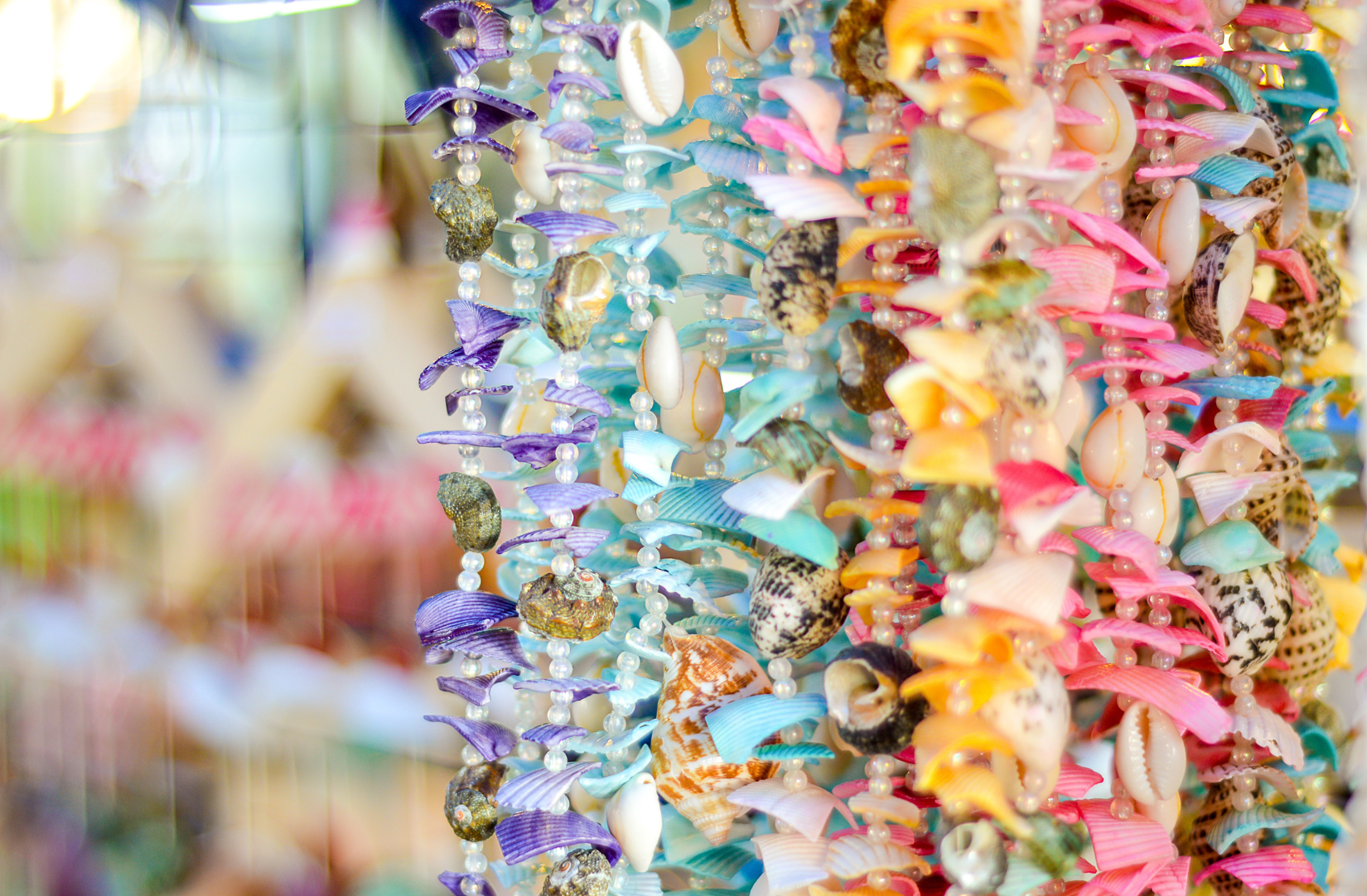 Colourful shell necklaces hanging in a display