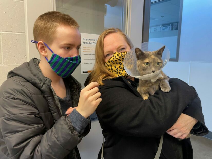 Mother and son reunited with cat.