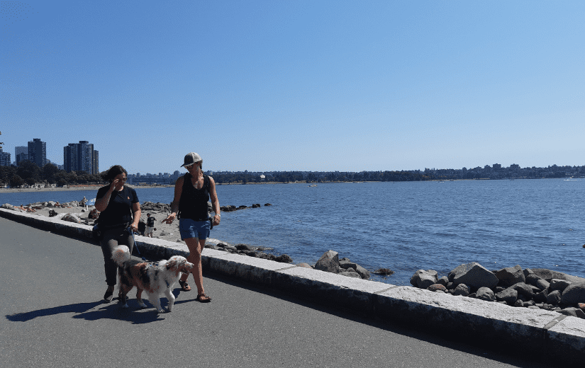 Australian Shepherd Toad walking on seawall with guardian and AnimalKind trainer