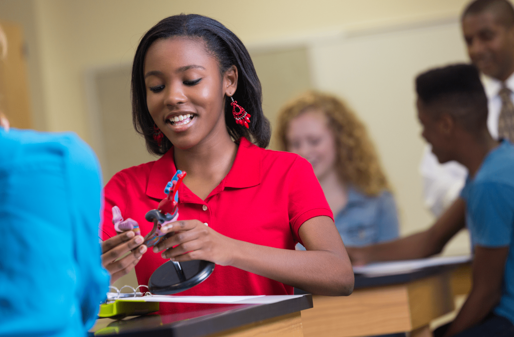 Student in a red shirt holding plastic 3D model of a heart