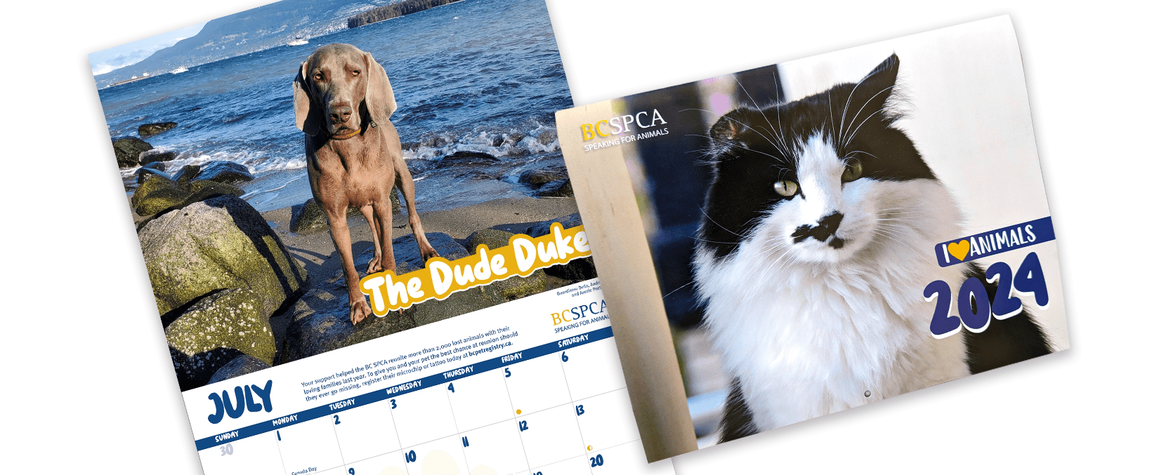 Win a page for your furry family member! Enter your pet in the BC SPCA