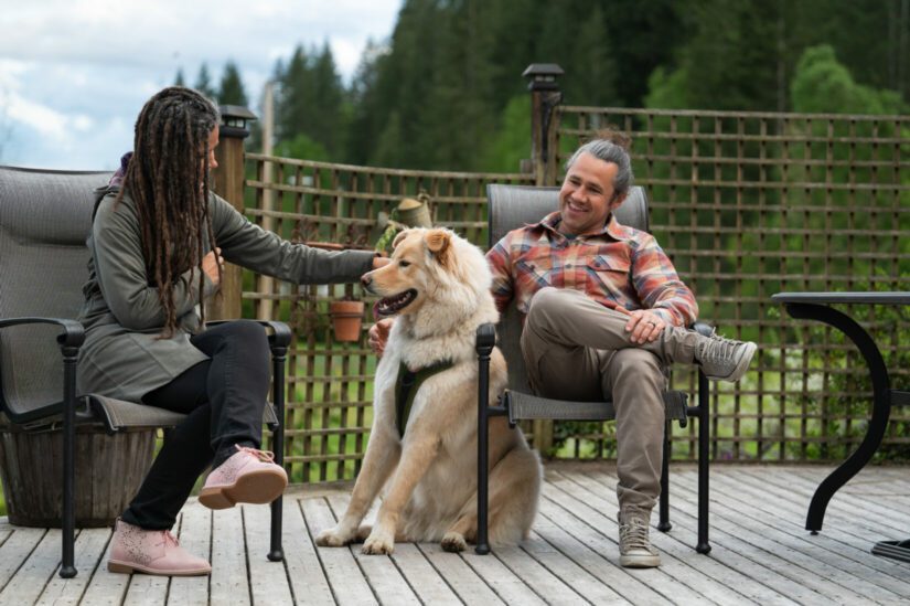 10 Dos and Don'ts of Petting Dogs: A Comprehensive Guide for Canine Lovers