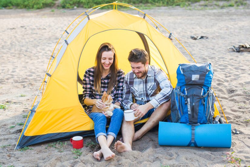 cat camping with family on beach