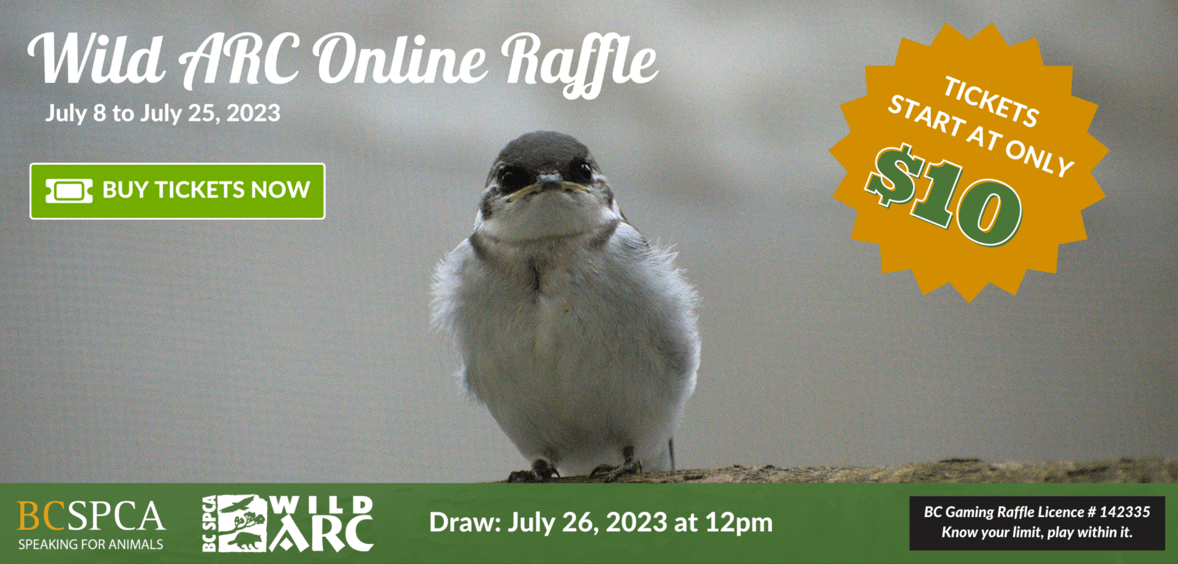 Wild Arc Online Raffle 2023