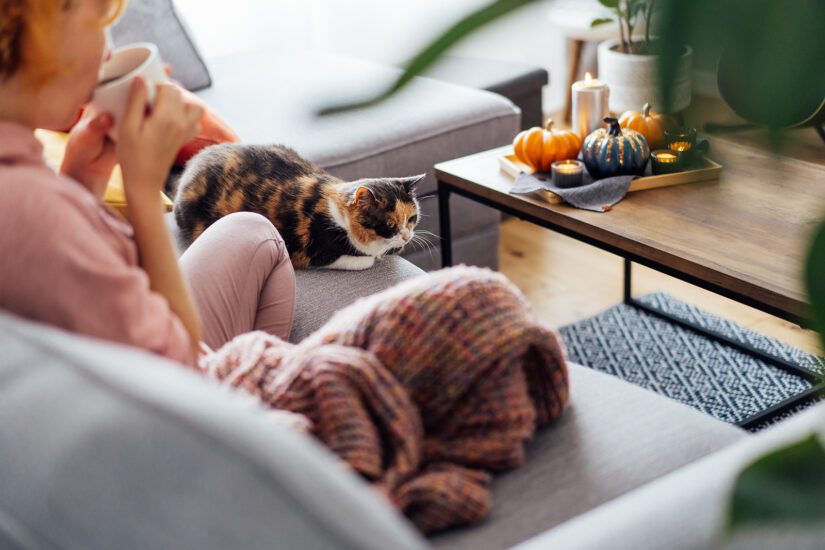 Tortoiseshell cat sitting with woman on sofa, in a home decorated for fall.