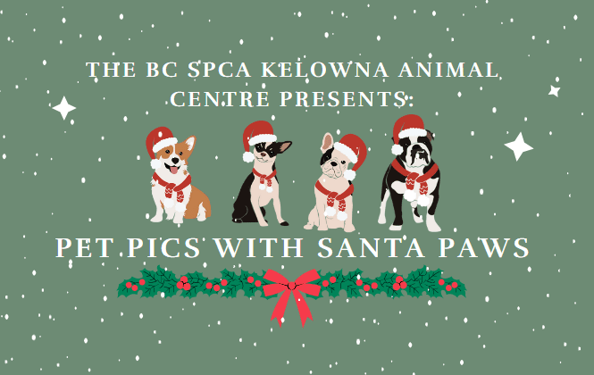BC SPCA Kelowna Animal Centre, Pet Pics with Santa, Logo