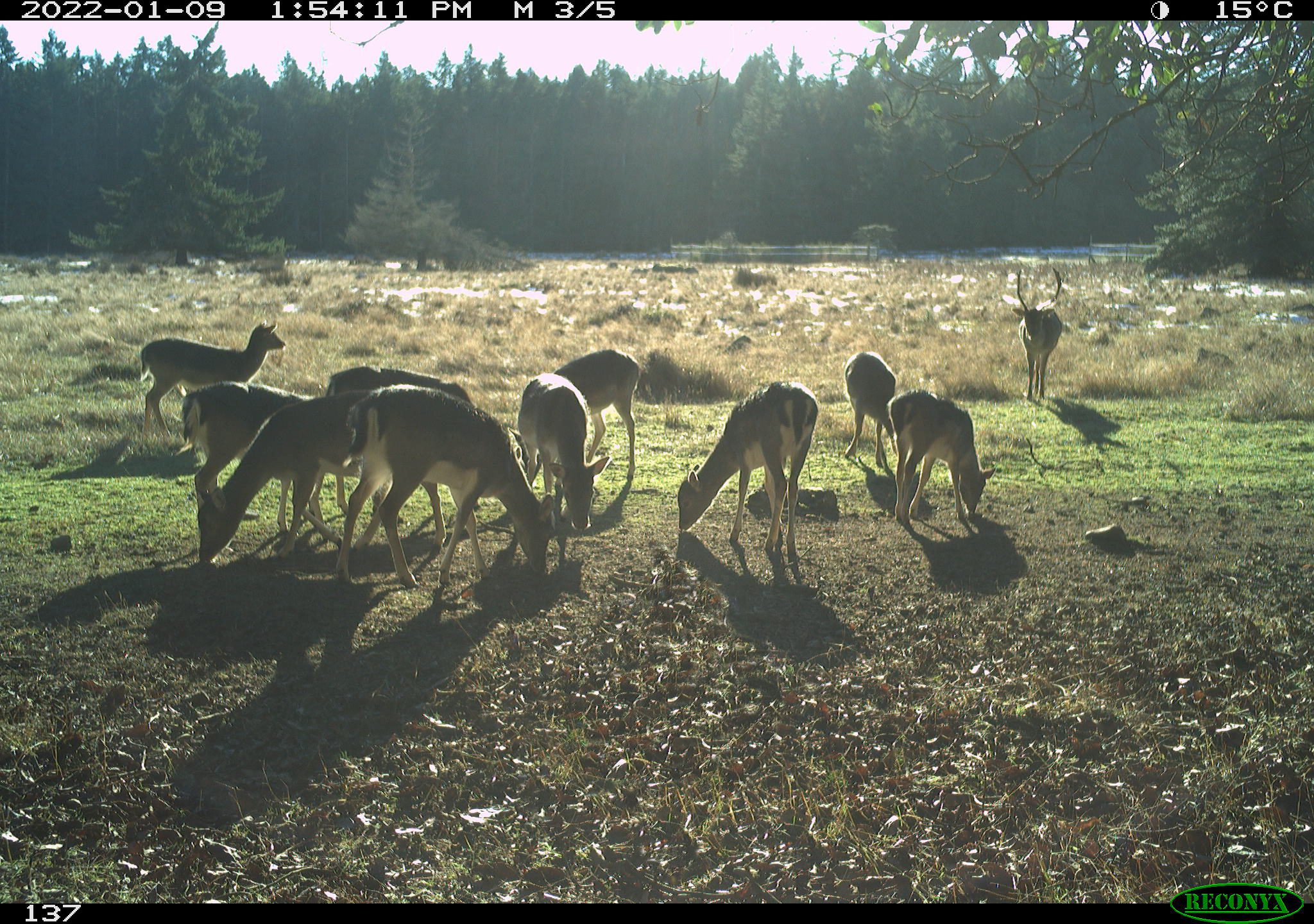 BC has deemed hunting and fishing as essential services - BC News 