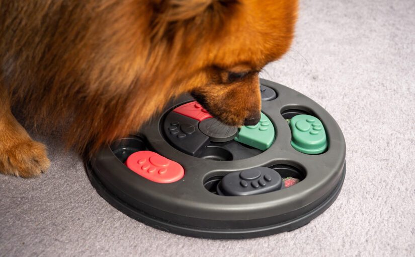 Dog playing indoors with food puzzle