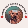 Logo of AnimalKind accredited dog training company Head and Heart Training