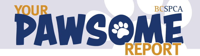 Your BC SCPA Pawsome Report!
