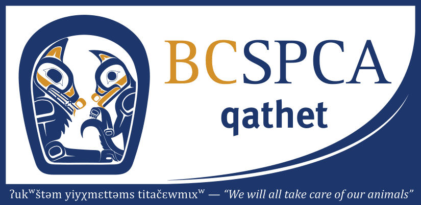 The new sign for the qathet Community Animal Centre featuring original artwork by Indigenous artist John Wale, featuring a dog and cat together. The sign bears a translation of "ʔukʷštəm yiyχmɛt təms titačɛwmɩxʷ", meaning “We will all take care of our animals”.
