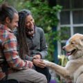 Foster People With Dog