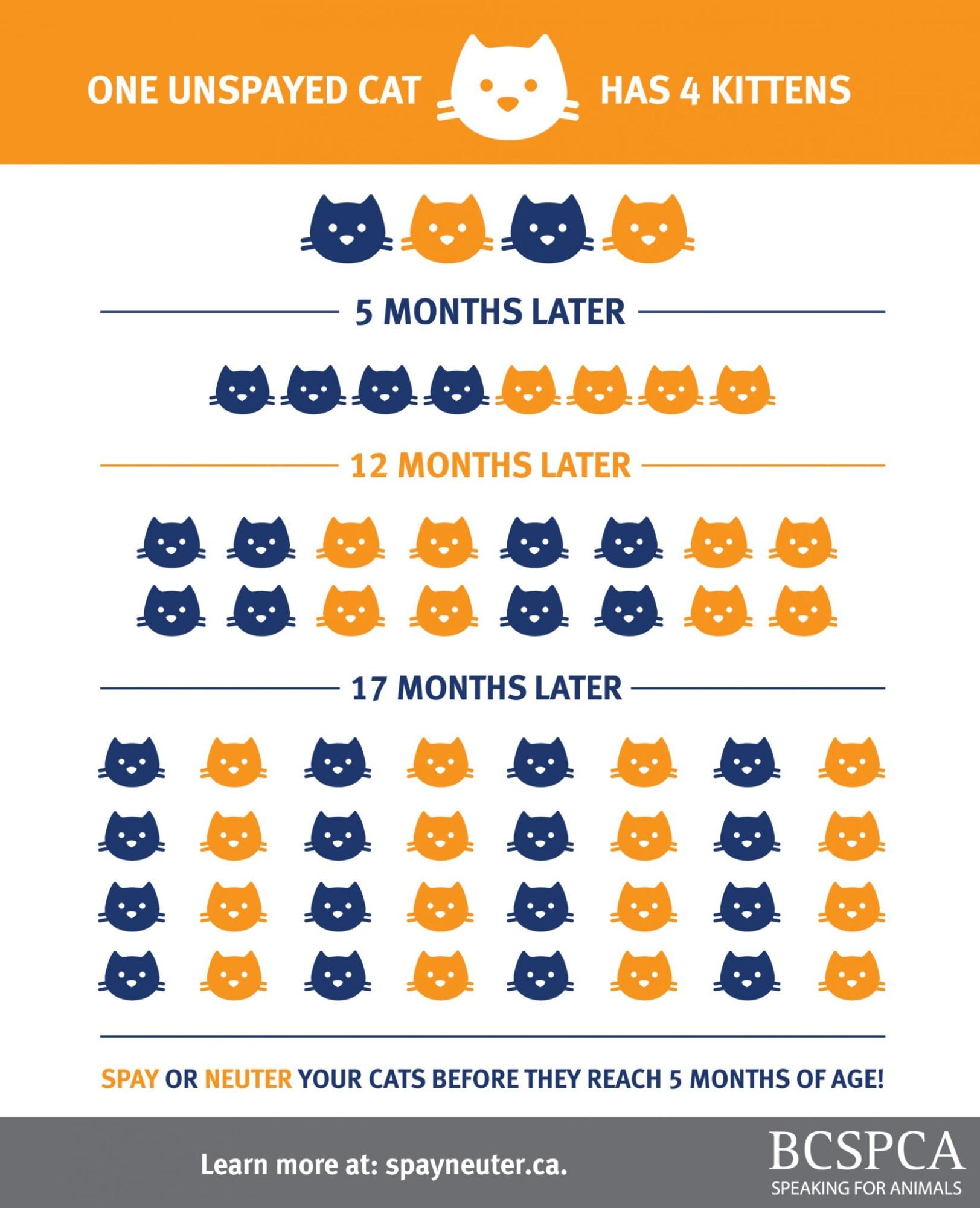 Spay and Neuter Facts