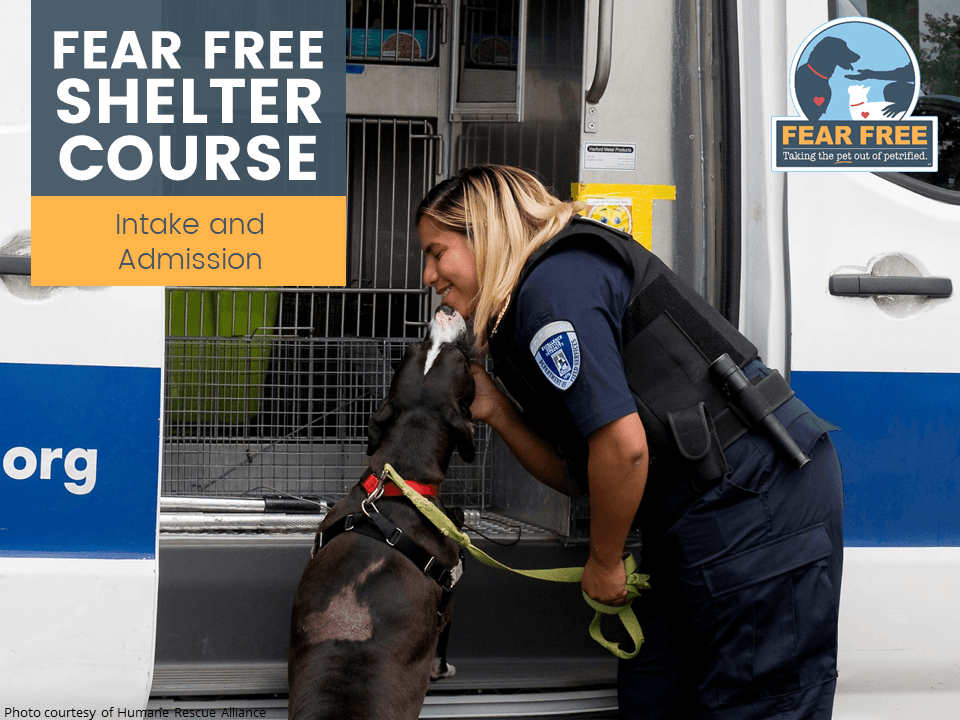 Fear Free Shelters - intake and admission