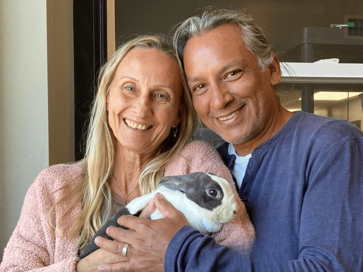 Vanilla and adopters