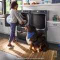 A woman placing a large animal bed into a Maytag washing machine. Next to her is sitting a large Bernese mountain dog wearing a blue bandana.
