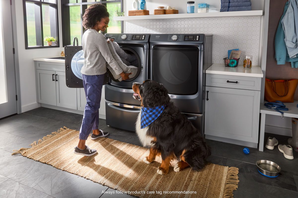 A woman placing a large animal bed into a Maytag washing machine. Next to her is sitting a large Bernese mountain dog wearing a blue bandana.