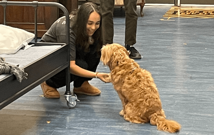 The actress playing Annie greets with one of the dogs cast as sandy by shaking their paw.