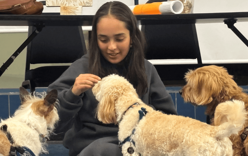 Annie Production: Azaleah (Annie) with Poco, Mylo, and Neko at rehearsals receiving treats.