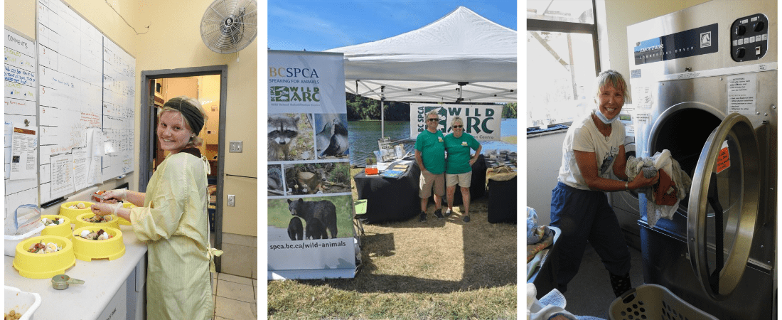 Image shows volunteers at Wild ARC in various positions