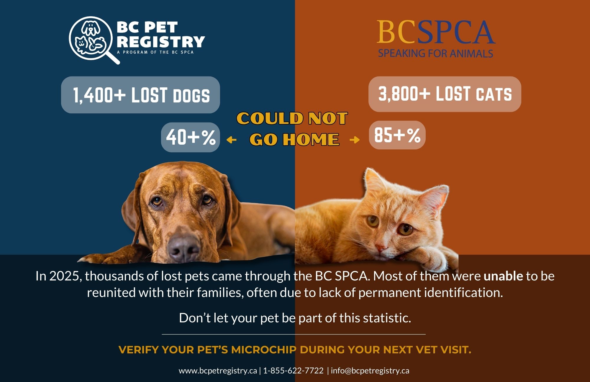 BC Pet Registry BC SPCA Lost Pet Stats 2025