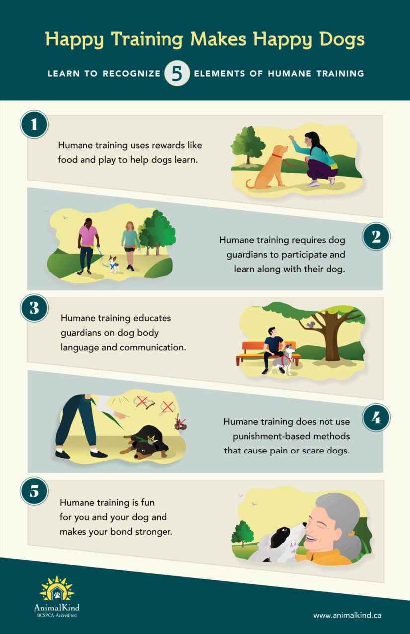 5 elements of humane dog training - BC SPCA