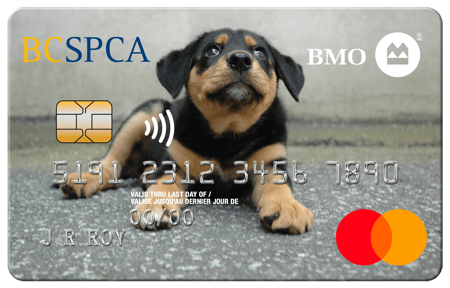 bmo spca mastercard