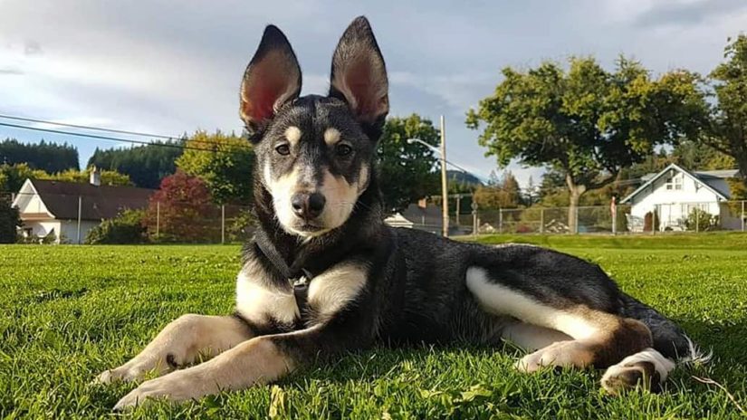 Nyra poses for the camera at a park close to her home