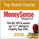 MoneySense Magazine Award