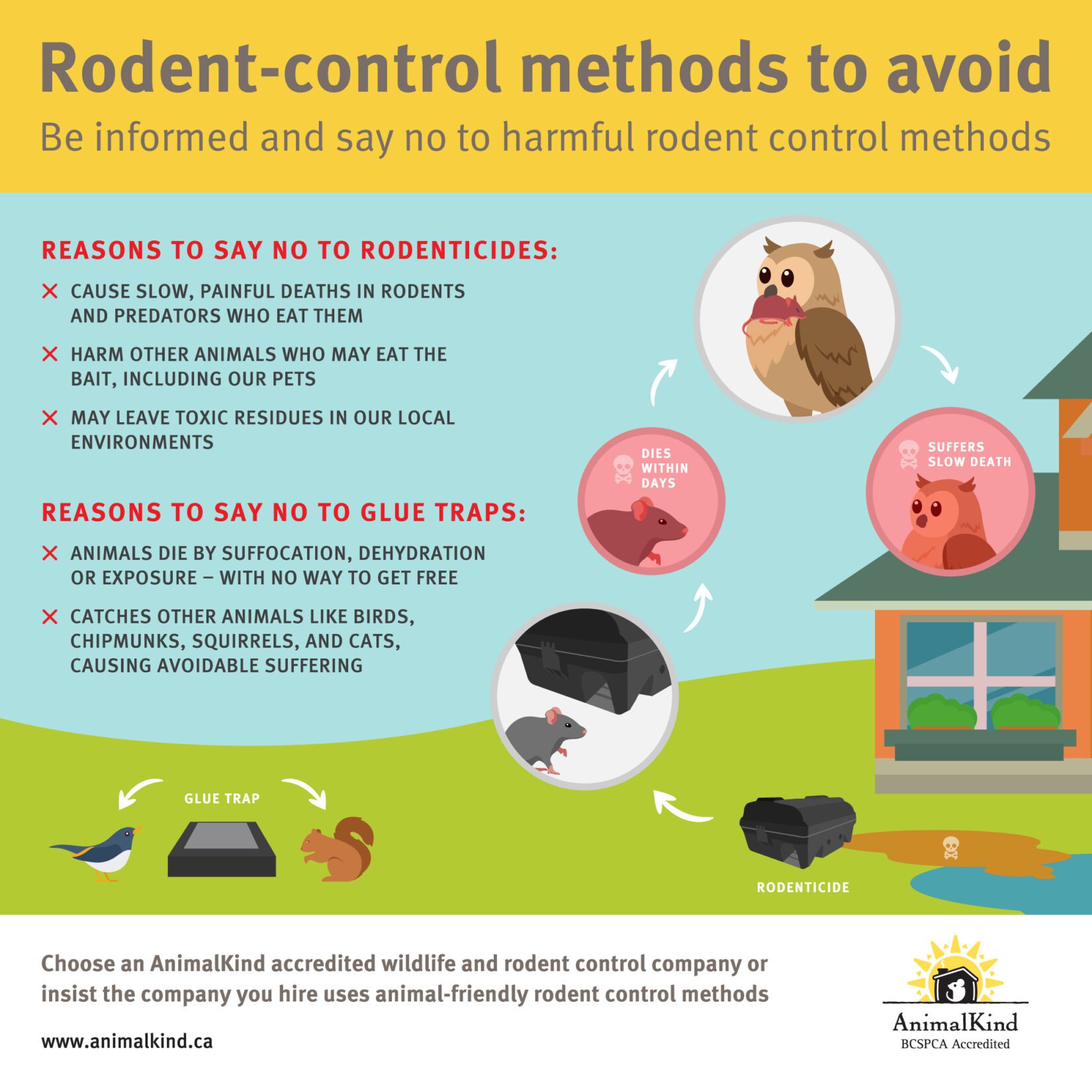 Rodent control methods to avoid