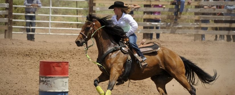 Rodeo horse riding