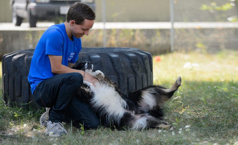 BC SPCA Careers