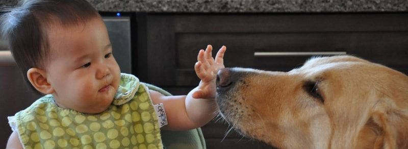 baby and a dog