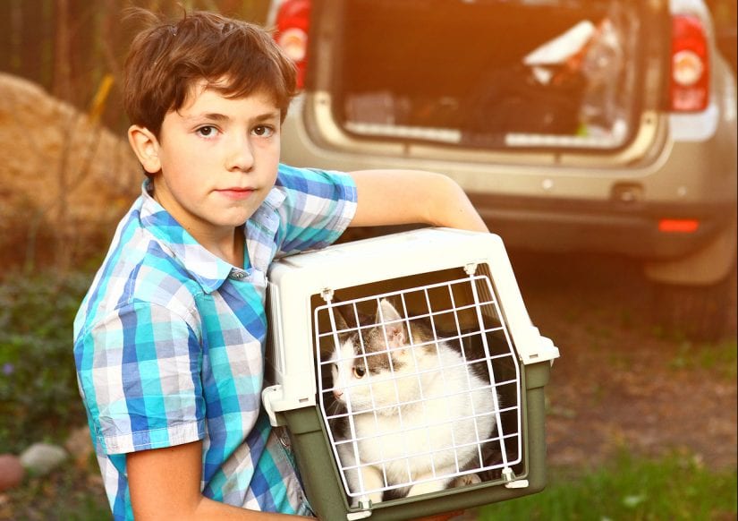 Boy holding cat in pet carrier with car in background