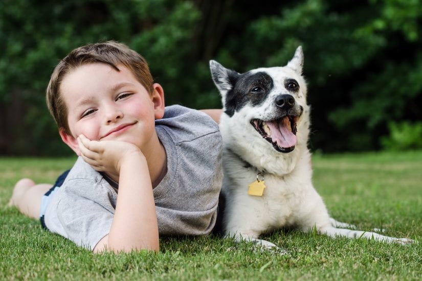 How do I welcome a new dog into my home? - BC SPCA How do I welcome a new dog into my home? - BC SPCA