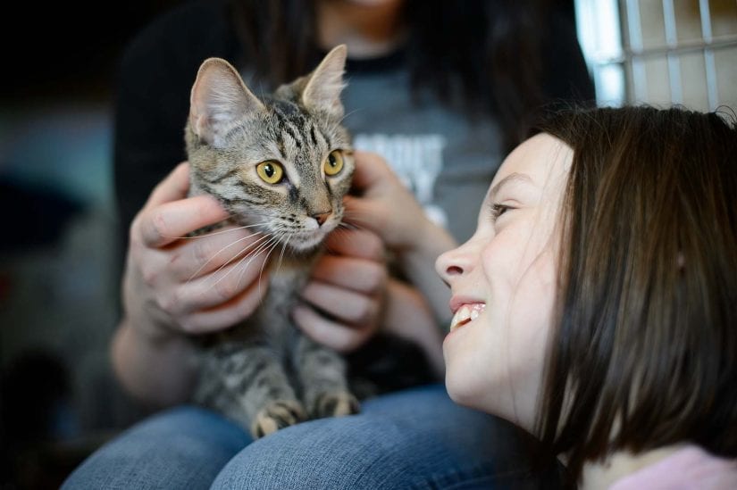 Curious cat on girls lap with kids