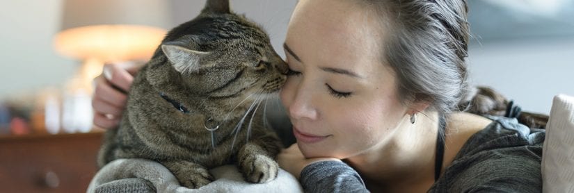 Tabby cat and woman lying down on the couch giving kitty kisses