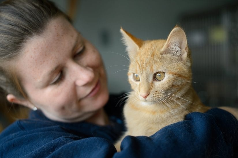 Cute wide eyed orange cat being held by smiling girl