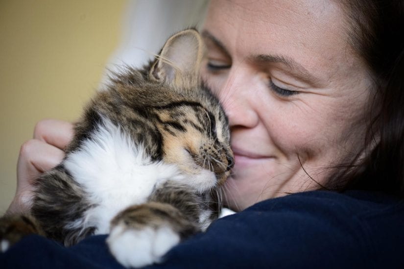 Young cute kitten being held cuddles up against girl