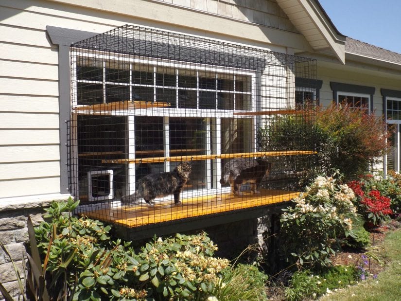 catio