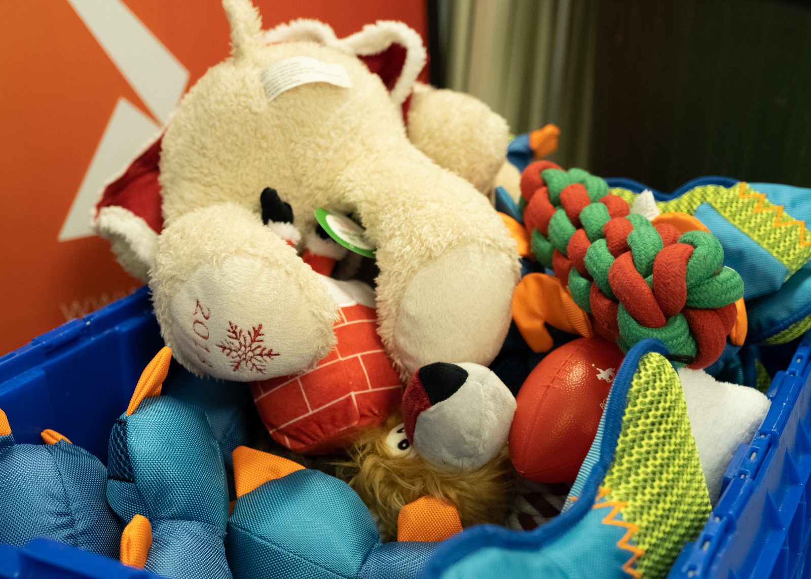 Donated toys for Charlie's pet food recipients.
