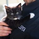 animal cruelty officer holding kitten