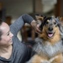 Happy mixed breed dog lying down being pet by smiling woman