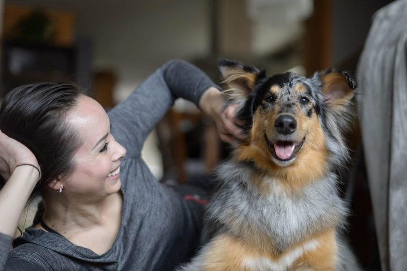 Happy mixed breed dog lying down being pet by smiling woman