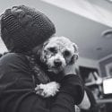 Dog looking sad giving puppy dog eyes while being held and hugged by a girl indoors
