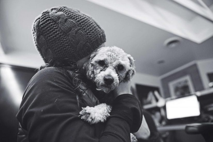 Dog looking sad giving puppy dog eyes while being held and hugged by a girl indoors