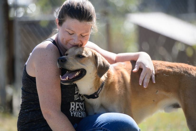 Smiling dog outdoors wearing a collar with mouth open being pet and cuddled by a girl